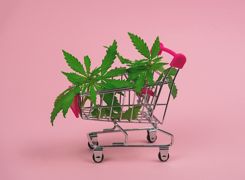 What You Need To Know Before Ordering Marijuana Online